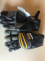 IMG_0054@medium.jpg