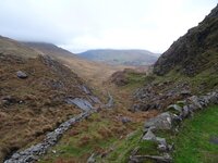 DSC02536.jpg