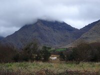 DSC02544.jpg