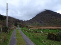 DSC02548.jpg