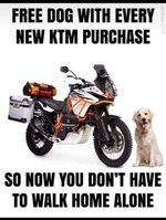 FB_IMG_1538118005697-01.jpeg