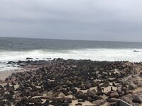 IMG_3511.jpg
