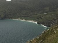 IMG_2556.jpg