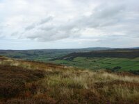 DSC03470.jpg