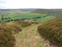 DSC03472.jpg