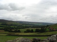 DSC03473.jpg