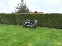 IMG_20190423_075215.jpg