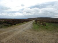 DSC03478.jpg
