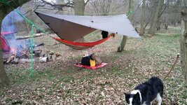 IMG_20170316_170423.jpeg IMG_20170316_170423.jpeg