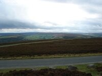 DSC03494.jpg