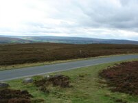 DSC03495.jpg