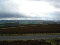 DSC03500.jpg