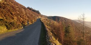 IMG_20190226_171159.jpg