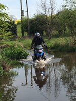 IMG_1572.jpg