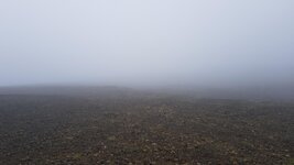 20190719_154346.jpg