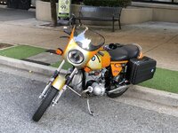 IMG_9928.jpg