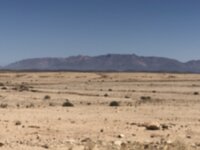 IMG_3561.jpg