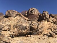 IMG_3569.jpg