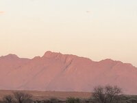 IMG_3601.jpg