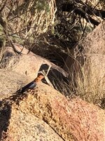 IMG_3583.jpg