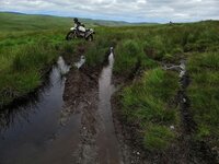 IMG_20190721_135001.jpg