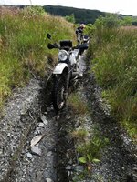 IMG_20190721_160404.jpg