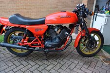 DSC_8549.jpg