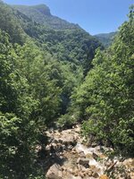IMG_2641_cut.JPEG