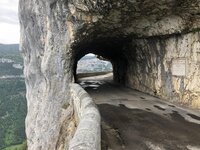 IMG_2707.jpg