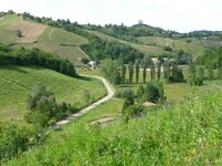 lucy in italy 028.jpg