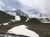 IMG_2785.jpg