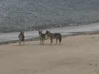 IMG_3697.jpg
