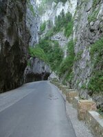 DSCF0529a.jpg
