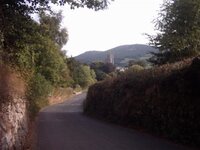 img_0041 (small).jpg