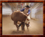 20452325.bullwrestler8x1072.jpg