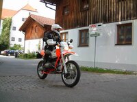 stella200200238.jpg