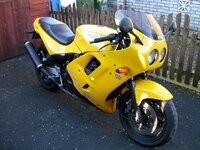 daytona 1200.JPG