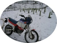 img_3550.jpg