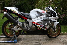IMG_0132.jpeg