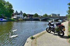 DSC_9933.JPG