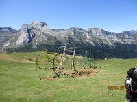 IMG_0294.jpg