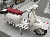 IMG_1387.jpg