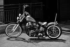 DSC_9800.web.jpg