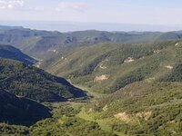 18 Douglas Pass Road.jpg