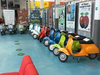 IMG_1556.jpg