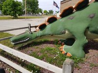 20 Dino Dino.jpg