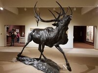 25c Elk.jpg