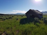 20190620_080802.jpg