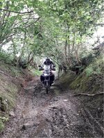 Downhill.jpg