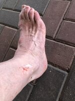 IMG_2824.jpg